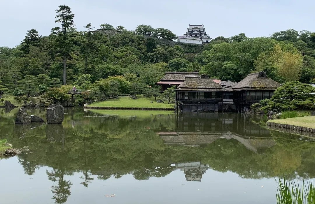 🌸 하치오지야마 공원 (오타시 호쿠부 운동 공원) 이미지 4